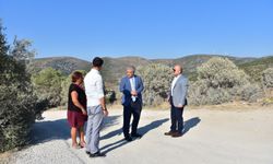 Kuşadası Kaymakamlığı’na yeni bina alanı aranıyor! Vali Varol planlanan alanı yerinde inceledi