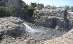 Kuşadası'nda Roma Hamamı çevresi temizlendi