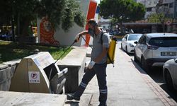Kuşadası’nın her noktası ilaçlanıyor: Haşereye karşı ekipler sahada