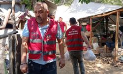 Kuyucak Belediyesi yangın bölgesindeki yaraları sarıyor