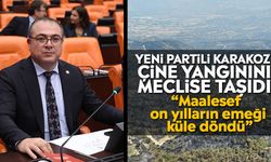 Yeni Partili Karakoz Çine yangınını meclise taşıdı: “Maalesef on yılların emeği küle döndü”