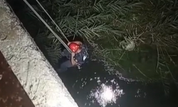 Nazilli’de korku dolu anlar! Nehre atladı, adacıkta mahsur kaldı