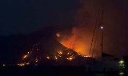 Orman yangınına çıkarma gemileriyle müdahale