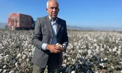 Pamuk yoksa hayat yok! Tarladan sanayiye zincirleme çöküş