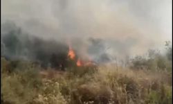 Söke’de zeytinlik alanda yangın! Aynı bölgede bir yıl arayla ikinci yangın!