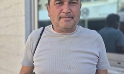 Söke’de yemeklik zeytin üretimi coştu! Bin tonun üzerinde alım bekleniyor