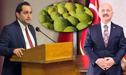TAGİAD Başkanı Koca incir tebliğini ve sezonu değerlendirdi! Vali Varol'a teşekkür etti