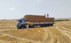 Tekirdağ'dan Çine'ye bir tır dolusu yardım
