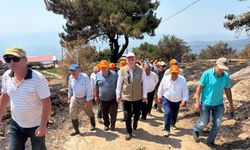 TZOB Başkanı Şemsi Bayraktar Çine’de yangın bölgesini inceledi