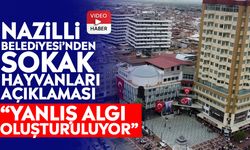 Nazilli Belediyesi’nden sokak hayvanları açıklaması: “Yanlış algı oluşturuluyor”