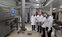 AK Partili Savaş'tan Aydın'daki et entegre tesisine inceleme