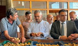 Aydın protokolü Nazilli incir tesislerini inceledi