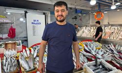 Balık Tezgahları Hareketlendi! Aydın’da ‘Palamut’ bolluğu