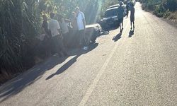 Bozdoğan’da feci kaza! 1 yaralı
