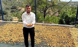 Bozdoğanlı incir üreticisinin sorunları Meclis’e taşındı