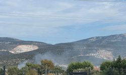 Didim’deki otluk alanda yangın paniği