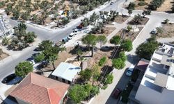 Didim’in yeni yaşam alanı hazırlanıyor
