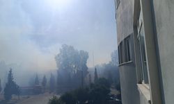 Efeler'de korkutan yangın! Ekiplerden anında müdahale