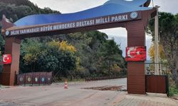 Milli Park rekora koşuyor! Çevreciler uyarıyor