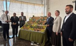 Nazilli’de yılın ilk inciri törenle alındı! Kilosu bin liradan satıldı