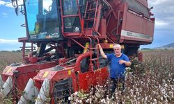 Pamukta son nefesler! Söke’de ilk hasat