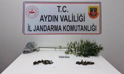 Sökeli yaşlı adam esrarla yakalandı