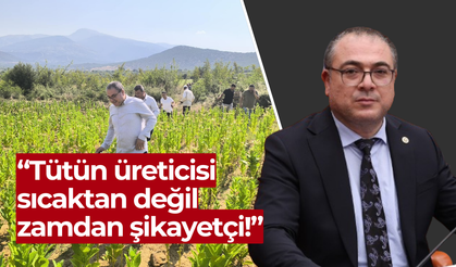 CHP’li Karakoz Tütün Tarlasına Girdi