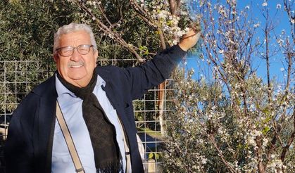 İklim değişikliği sinyali! Erik ağacı çiçek açtı