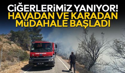 Ciğerlerimiz yanıyor! Havadan ve karadan müdahale başladı