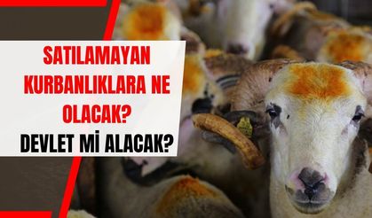 Kurban Sonrası Şaşırtan Karar: Elde Kalan Kurbanlıkları Devlet Mi Alacak?