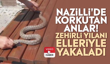 Nazilli'de korkutan anlar! Zehirli yılanı elleriyle yakaladı