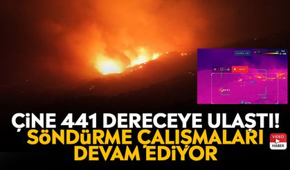 Çine 441 dereceye ulaştı! Söndürme çalışmaları devam ediyor