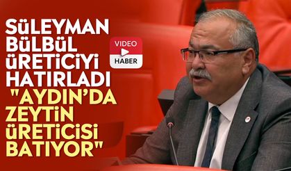 Süleyman Bülbül üreticiyi hatırladı: "Aydın’da zeytin üreticisi batıyor"