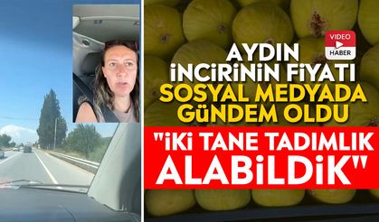 Aydın incirinin fiyatı sosyal medyada gündem oldu: "İki tane tadımlık alabildik"
