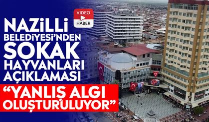 Nazilli Belediyesi’nden sokak hayvanları açıklaması: “Yanlış algı oluşturuluyor”