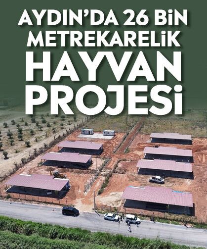 Aydın’da 26 bin metrekarelik hayvan projesi