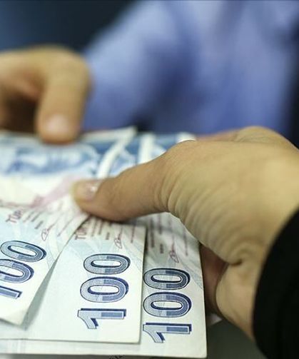Aydınlılar dikkat: Bu bitkiyi kopartan görülmemiş ceza ödeyecek!