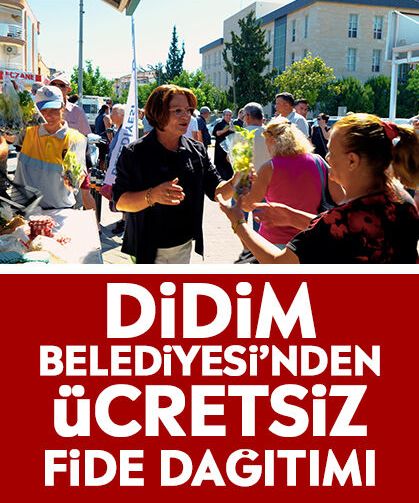 Didim Belediyesi’nden ücretsiz fide dağıtımı