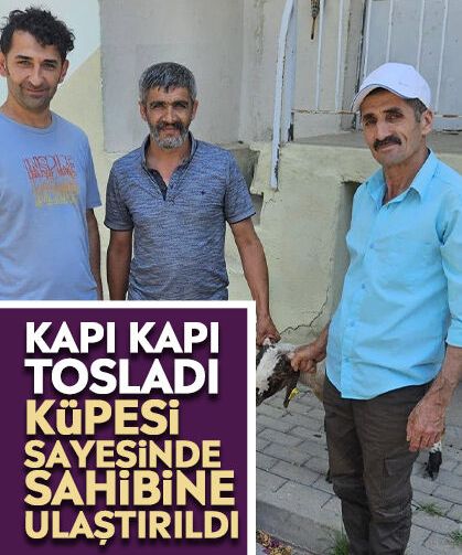 Kapı kapı tosladı: Küpesi sayesinde sahibine ulaştırıldı