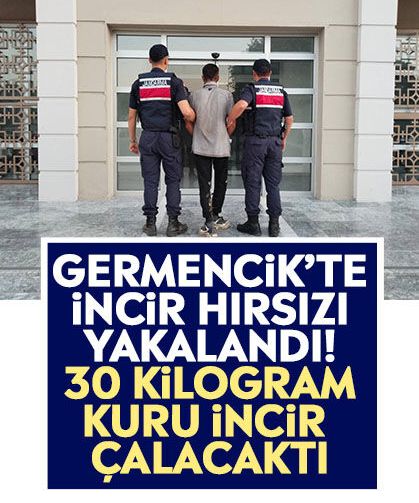 Germencik’te incir hırsızı yakalandı! 30 kilogram kuru incir çalacaktı