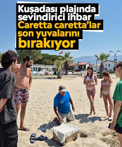 Kuşadası plajında sevindirici ihbar: Caretta caretta’lar son yuvalarını bırakıyor