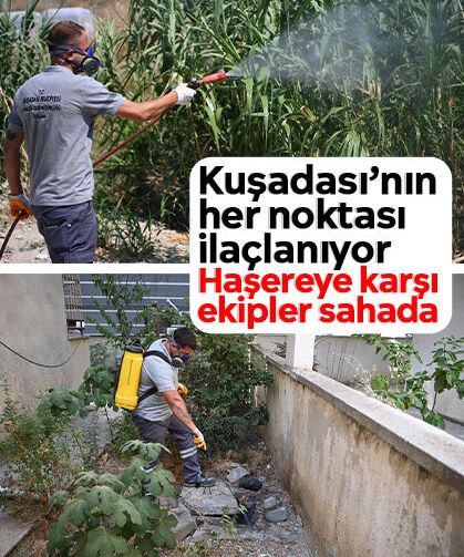 Kuşadası’nın her noktası ilaçlanıyor: Haşereye karşı ekipler sahada