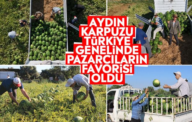 Aydın karpuzu Türkiye genelinde pazarcıların favorisi oldu