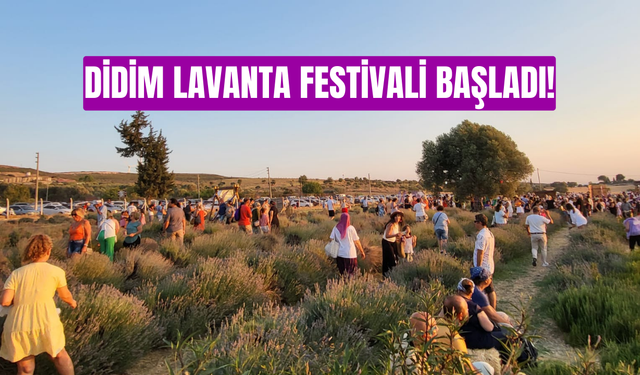 Didim Lavanta Festivali başladı!