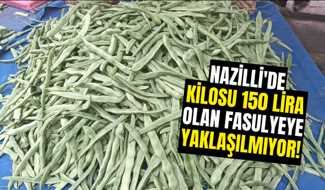 Nazilli'de kilosu 150 lira olan fasulyeye yaklaşılmıyor!