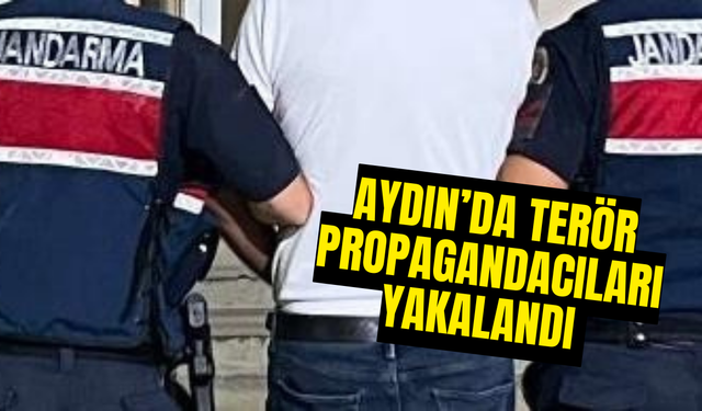 Aydın'da terör propagandacıları yakalandı