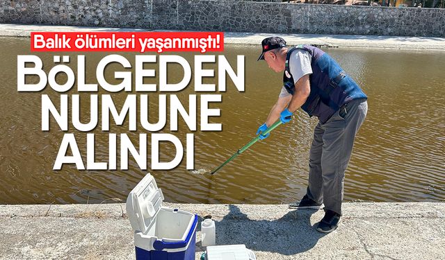 Balık ölümleri yaşanmıştı! Bölgeden numune alındı