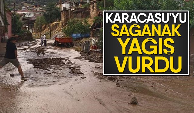 Karacasu'yu sağanak yağış vurdu