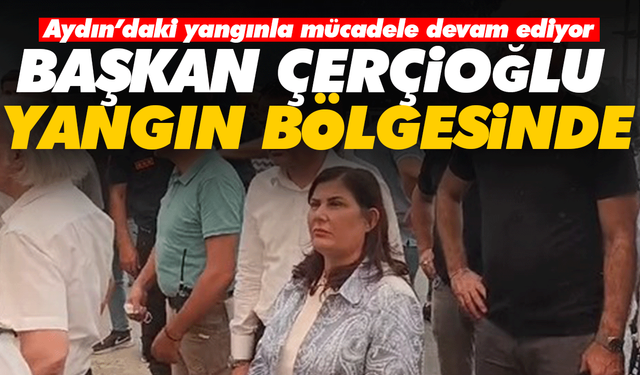 Başkan Çerçioğlu yangın bölgesinde