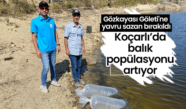 Koçarlı’da balık popülasyonu artıyor! Gözkayası Göleti'ne yavru sazan bırakıldı